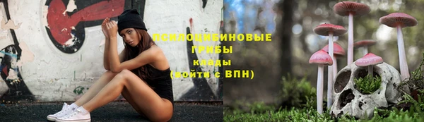 гашик Армянск
