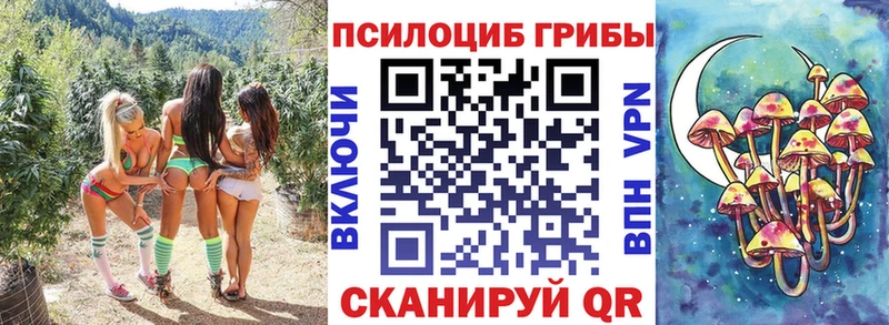 Галлюциногенные грибы GOLDEN TEACHER  Среднеуральск 